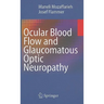 Ocular Blood Flow and Glaucomatous Optic Neuropathy