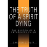 The Truth of a Spirit Dying: The Burden of a Fatherless Child