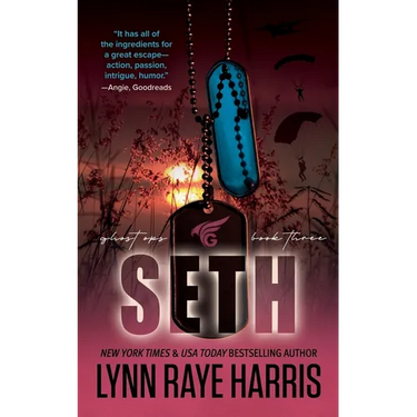 Seth: A Small Town, Enemies to Lovers, Protector Romance