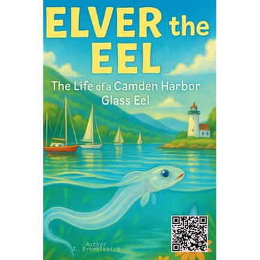 Elver the Eel: The Life of a Camden Harbor Glass Eel
