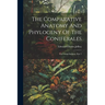 The Comparative Anatomy And Phylogeny Of The Coniferales: The Genus Sequoia, Part 1
