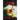 Wraiths of the Broken Land