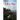 Death on Edisto: Murder on the island of misfits