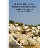 A Cool Dip in the Barren Saharan Crick and other plays