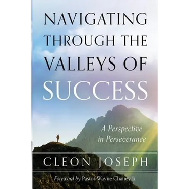Navigating Through The Valleys Of Success: A Perspective In Perseverance