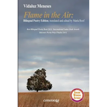 Flame in the Air Second Edition