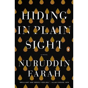 Hiding in Plain Sight