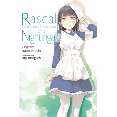Rascal Does Not Dream of a Nightingale (Light Novel): Volume 11