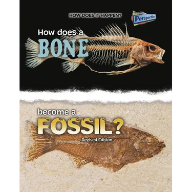 How Does a Bone Become a Fossil?