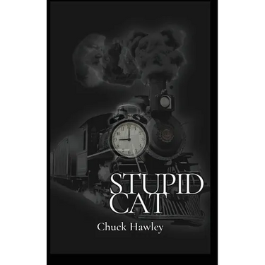 Stupid Cat