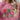 4d8729965b764c279c412e9e6a394b5a-Max