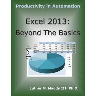 Excel 2013: Beyond the Basics