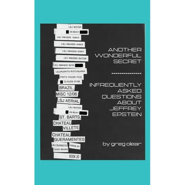 Another Wonderful Secret: Infrequently Asked Questions About Jeffrey Epstein