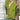 4f42b3ce-ad37-4b47-a739-463dda84e8e3-Max