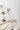 4f55d470-bbcc-407b-bba2-1e09160d75c0-Max