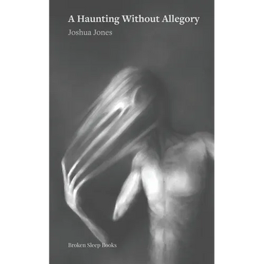 A Haunting Without Allegory