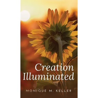 Creation Illuminated