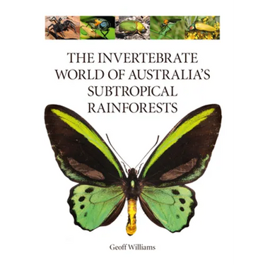 The Invertebrate World of Australia's Subtropical Rainforests