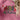 4fd9eb6a6c35438e885f18bf6b6f81ae-Max