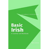 Basic Irish: A Grammar and Workbook
