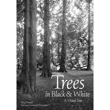 Trees in Black & White: A Visual Tour