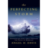 The Perfecting Storm: Experiencing God's Best Through the Trials of Marriage