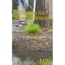 The Grass that Grows in Sidewalks