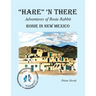 "Hare" 'n There Adventures of Rosie Rabbit: Rosie in New Mexico