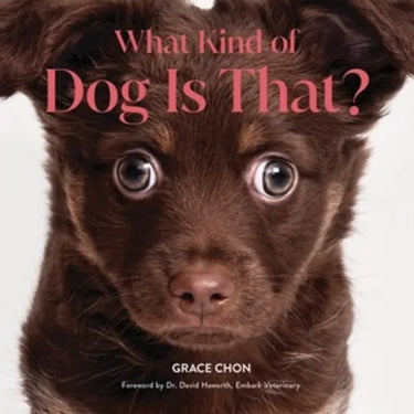 What Kind of Dog Is That?