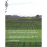 CCA Exam Unofficial Practice Questions for the Certified Crop Advisor (International) Exam