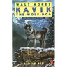 Kavik the Wolf Dog