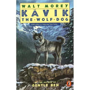 Kavik the Wolf Dog