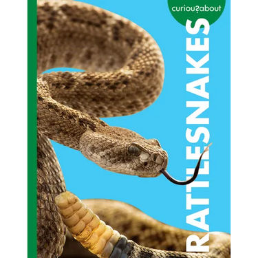 Curious about Rattlesnakes