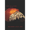 Diary of a Young, Black NEG(R)US