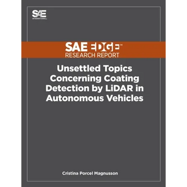 Unsettled Topics Concerning Coating Detection by LiDAR in Autonomous Vehicles