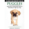 Puggles - The Owner's Guide from Puppy to Old Age - Choosing, Caring for, Grooming, Health, Training and Understanding Your Puggle Dog or Puppy