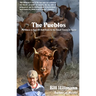 The Pueblos: My Quest to Run 101 Bull Runs in the Small Towns of Spain