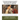 When knighthood was in flower; or, The love story of Charles Brandon and Mary Tudor, the king's sister, and happening in the reign of ... Henry VIII.