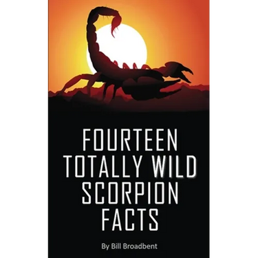 Fourteen Totally Wild Scorpion Facts: Fun, educational and full of color pics and graphics!