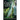 The Ghost Of Khe Sanh