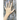 Eve