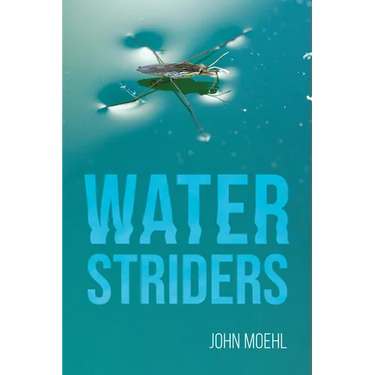 Water Striders