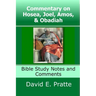 Commentary on Hosea, Joel, Amos, & Obadiah: Bible Study Notes and Comments