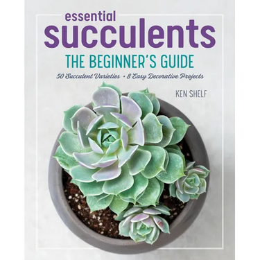 Essential Succulents: The Beginner's Guide