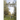 Particular Stones