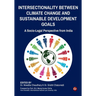 Intersectionality Between Climate Change and Sustainable Development Goals: A Socio-Legal Perspective from India