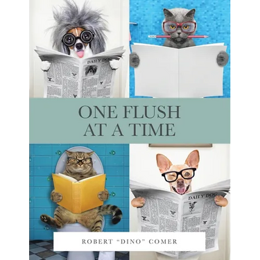 One Flush at a Time