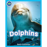 Dolphins!
