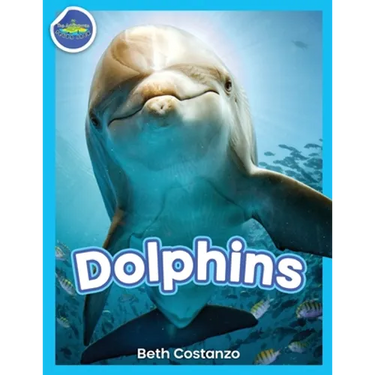 Dolphins!