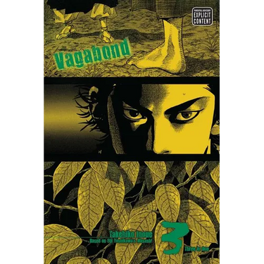 Vagabond (Vizbig Edition), Vol. 3